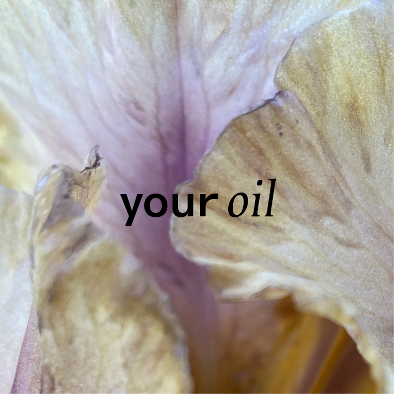 Des pétales d'iris violet clair, lisses et délicats, encadrent le texte central your oil. L'image dégage une ambiance lumineuse et élégante, suggérant une sensation de pureté et de douceur, idéale pour un produit apaisant et raffiné.